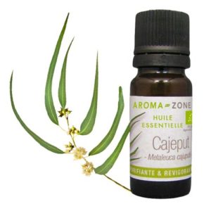 Huile Essentielle de Cajeput BIO, Revigorante & Purifiante, 10ml
